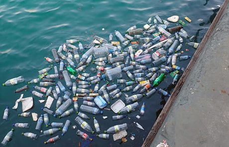 Pollution plastique dans les océans : Un fléau mondial menaçant l’écosystème marin