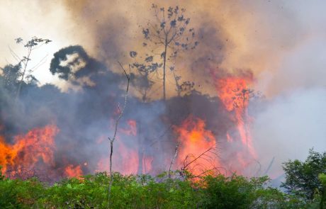 Le Brésil lance des opérations militaires pour protéger la forêt amazonienne