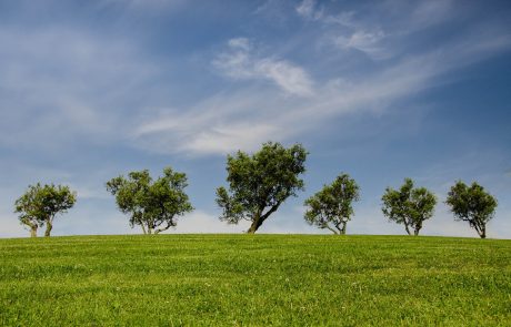 Les banques ne résistent pas à la tentation du greenwashing