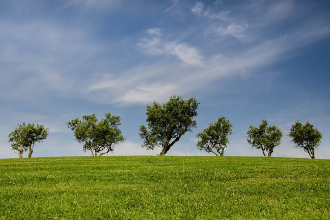 Les banques ne résistent pas à la tentation du greenwashing