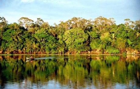 Le sommet de l’ONU entend créer un pacte mondial pour protéger la nature