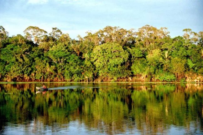 Le sommet de l’ONU entend créer un pacte mondial pour protéger la nature