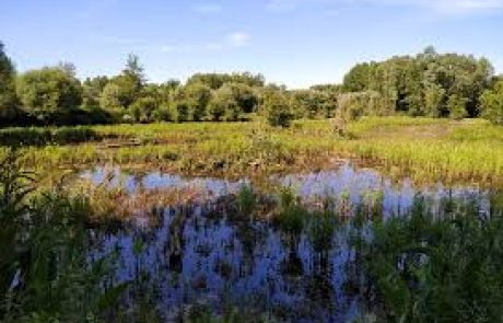 La protection supplémentaire de 1,2 % de la Terre permettrait d’éviter la plupart des extinctions