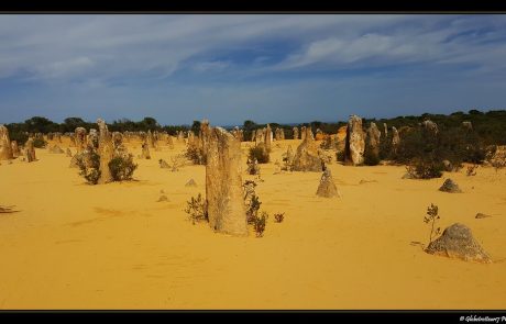 Réchauffement climatique : L’Australie fortement menacée