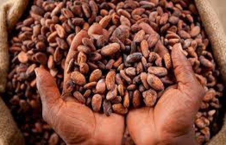 Les conditions climatiques pourraient entraver la récolte de cacao en Côte d’Ivoire