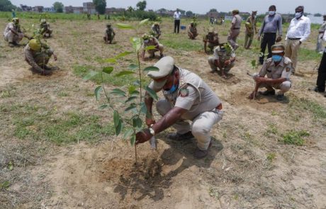 Terraformation veut lever 100 millions de dollars pour des projets de reforestation