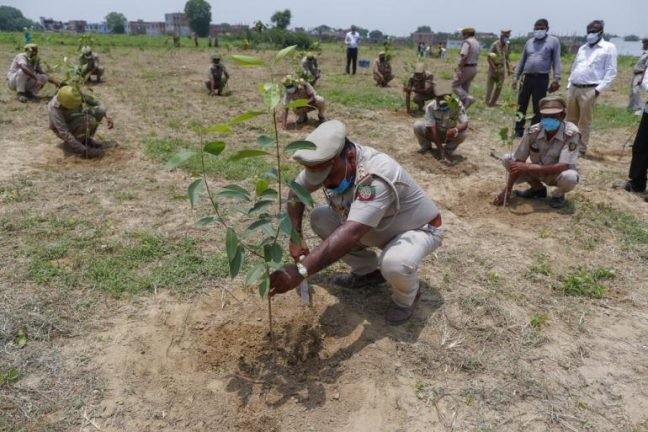 Terraformation veut lever 100 millions de dollars pour des projets de reforestation