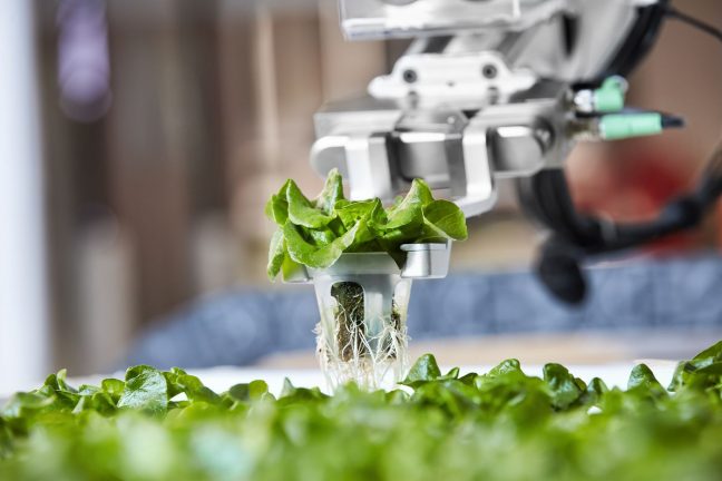 Et si l’avenir de l’agriculture était dans la robotique ?
