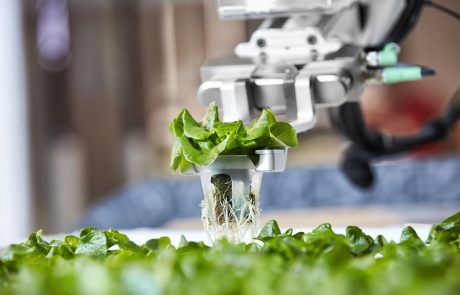 Et si l’avenir de l’agriculture était dans la robotique ?