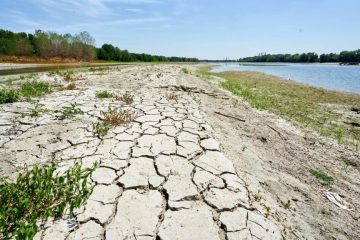 En Sicile, frappée par la sécheresse, “l’eau est de l’or”