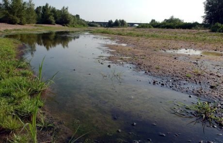 60 % des rivières du monde à sec au moins un jour par an