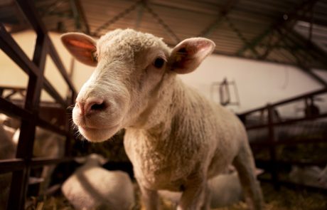 Loi Duplomb : tensions croissantes autour des députés écologistes et insoumis en Gironde