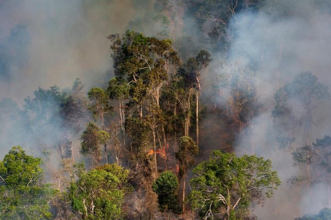 Les présidents colombien et brésilien s’engagent à coopérer pour protéger l’Amazonie
