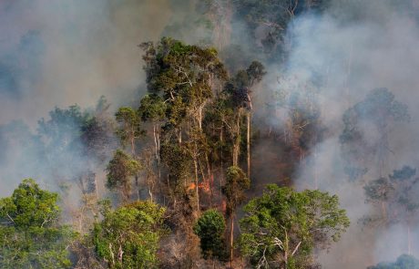 Les présidents colombien et brésilien s’engagent à coopérer pour protéger l’Amazonie