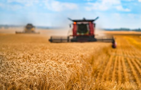 La stratégie « de la ferme à la fourchette » de l’Union Européenne est-elle réaliste ?