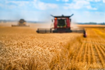 La stratégie « de la ferme à la fourchette » de l’Union Européenne est-elle réaliste ?