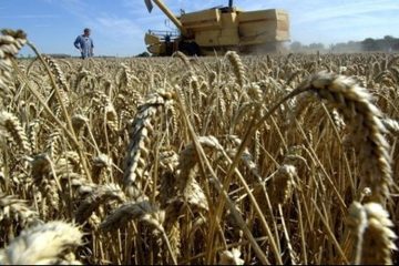 L’UE ne parvient pas à conclure un accord sur les subventions agricoles