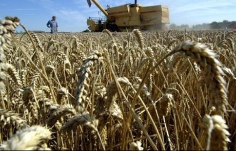 L’UE ne parvient pas à conclure un accord sur les subventions agricoles
