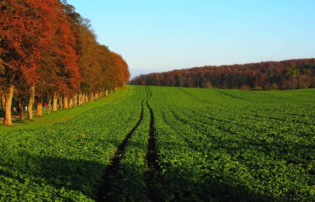 L’agriculture biologique gagne du terrain en France