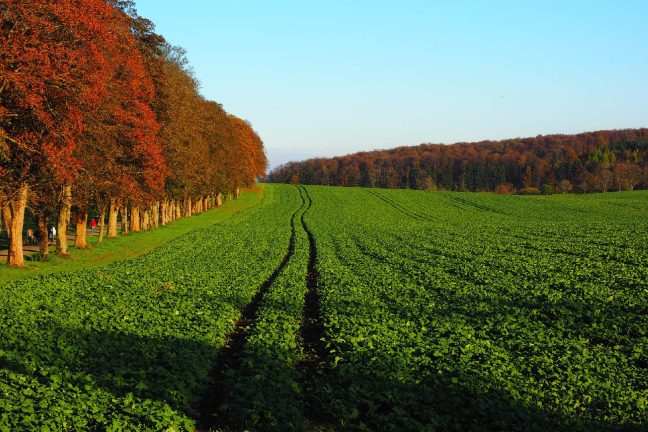 L’agriculture biologique gagne du terrain en France