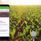 L’irrigation de précision face à la raréfaction de l’eau agricole
