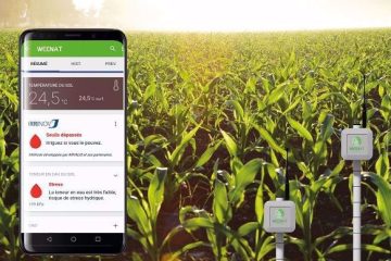 L’irrigation de précision face à la raréfaction de l’eau agricole