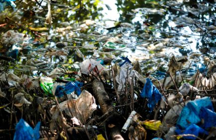 Les Philippines approuvent un projet de loi taxant les plastiques à usage unique