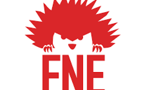 France Nature Environnement : 58 ans ans d’activisme pour défendre l’écosystème français