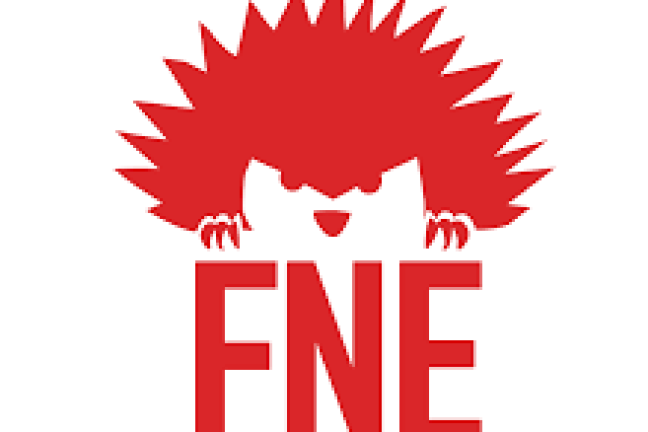 France Nature Environnement : 58 ans ans d’activisme pour défendre l’écosystème français