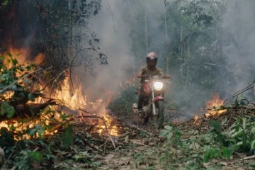 La bataille pour stopper la déforestation de l’Amazonie mise à nu dans le film “The Territory”