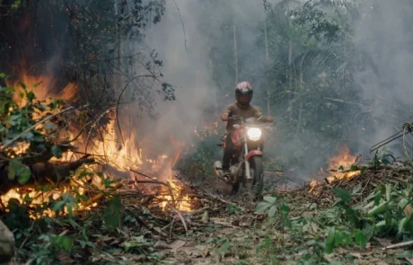 La bataille pour stopper la déforestation de l’Amazonie mise à nu dans le film “The Territory”