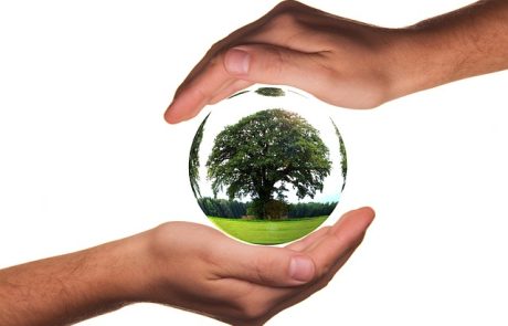 Formations environnementales et insertion professionnelle : quelles perspectives pour demain ?