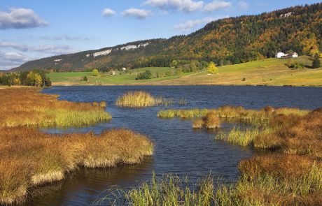 La difficile atteinte de l’objectif mondial en matière de biodiversité pour l’UE