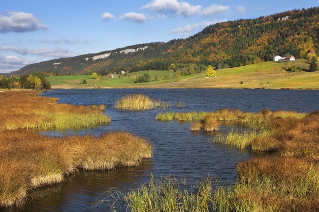 La difficile atteinte de l’objectif mondial en matière de biodiversité pour l’UE