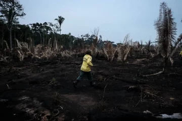 Le Brésil risque de perdre le contrôle de l’Amazonie au profit des trafiquants de drogue, prévient un juge