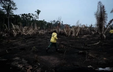 Le Brésil risque de perdre le contrôle de l’Amazonie au profit des trafiquants de drogue, prévient un juge