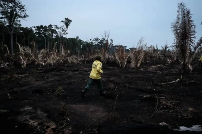 Le Brésil risque de perdre le contrôle de l’Amazonie au profit des trafiquants de drogue, prévient un juge