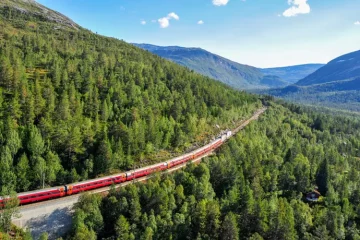 Les mobilités touristiques bas-carbone : le train et le slow tourisme changent les pratiques
