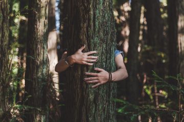 « On devrait humaniser les cèpes ou les girolles plutôt que les arbres puisqu’ils sont plus proches de nous ! », Catherine Lenne, Docteure en Physiologie Végétale