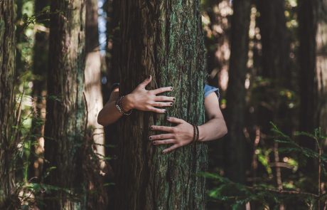 « On devrait humaniser les cèpes ou les girolles plutôt que les arbres puisqu’ils sont plus proches de nous ! », Catherine Lenne, Docteure en Physiologie Végétale