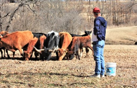 Devenir végan pour l’environnement : Un choix durable pour la planète