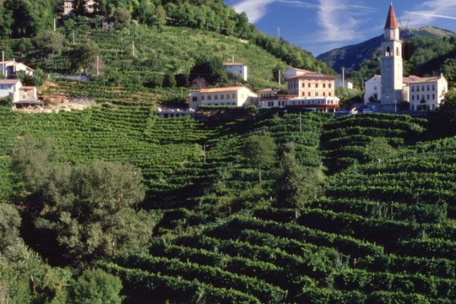 Faut-il arrêter de boire du prosecco pour des raisons environnementales ?