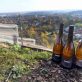 La viticulture arrive dans les bassins miniers du nord de la France