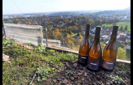 La viticulture arrive dans les bassins miniers du nord de la France