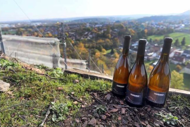 La viticulture arrive dans les bassins miniers du nord de la France